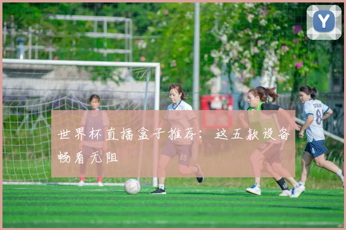 世界杯直播盒子推荐:这五款设备畅看无阻
