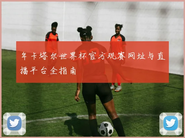 年卡塔尔世界杯官方观赛网址与直播平台全指南
