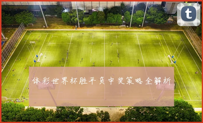 体彩世界杯胜平负中奖策略全解析