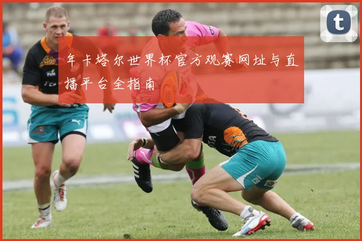 年卡塔尔世界杯官方观赛网址与直播平台全指南