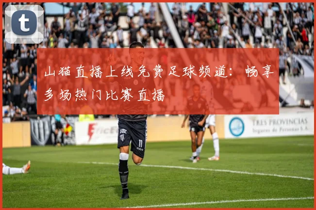 山猫直播上线免费足球频道：畅享多场热门比赛直播