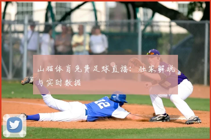 山猫体育免费足球直播：独家解说与实时数据