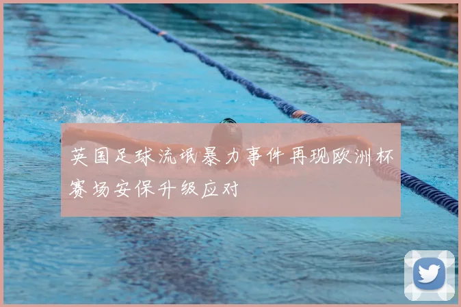 英国足球流氓暴力事件再现欧洲杯赛场安保升级应对